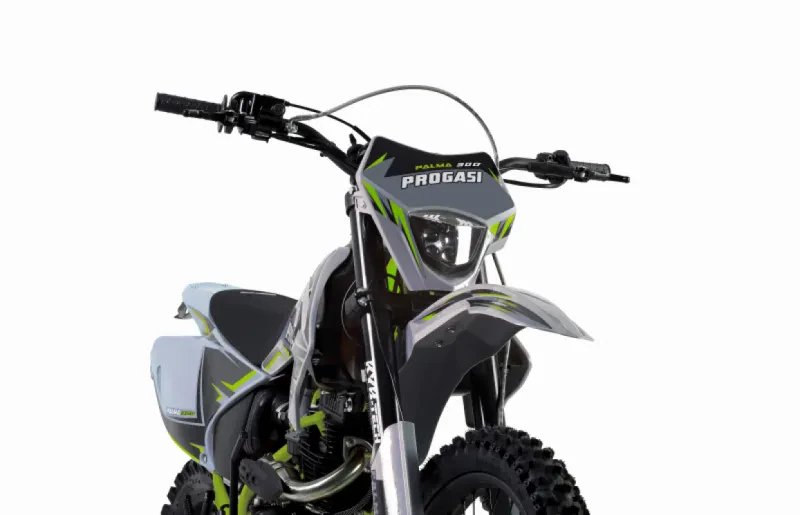 Эндуро Мотоцикл PROGASI Palma 300 Green