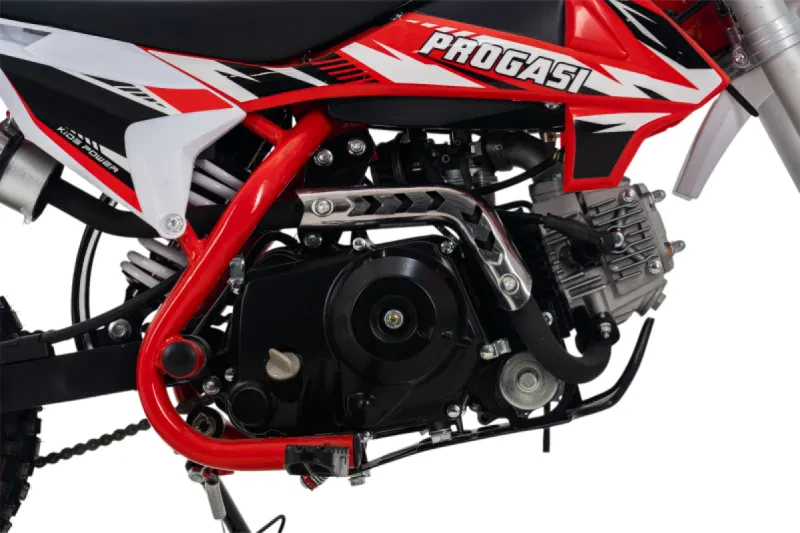 Питбайк Мотоцикл PROGASI Kids Power 110