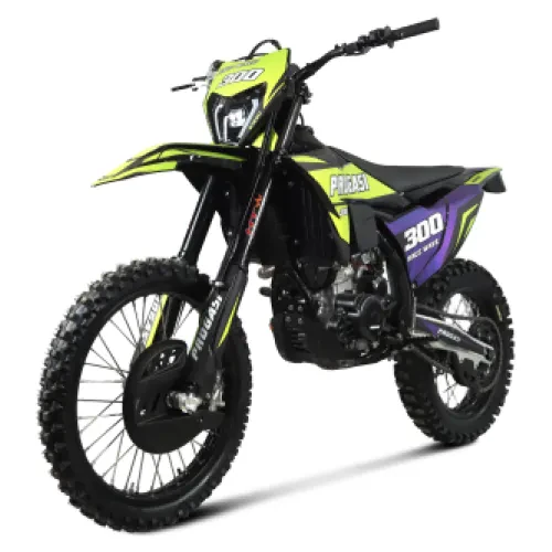 race wave 300 2