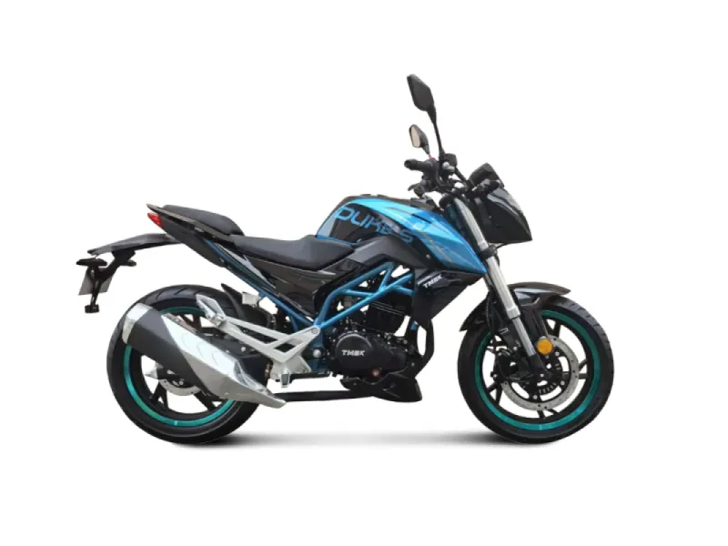 Дорожный Мотоцикл TMBK DUKES 200 Blue
