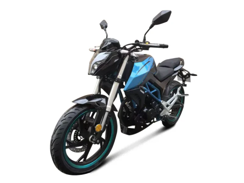 Дорожный Мотоцикл TMBK DUKES 200 Blue