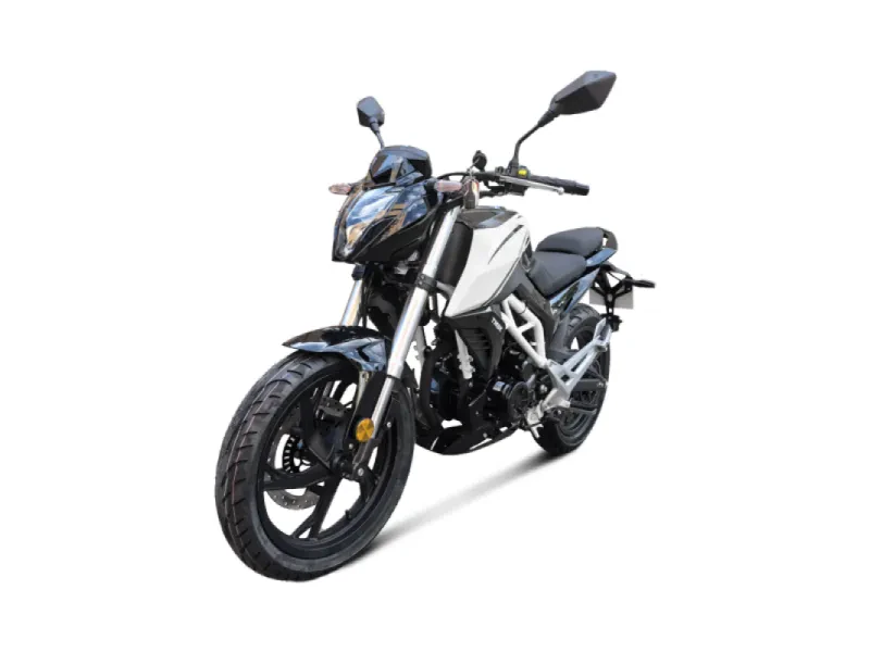 Дорожный Мотоцикл TMBK DUKES 250 PRO Black